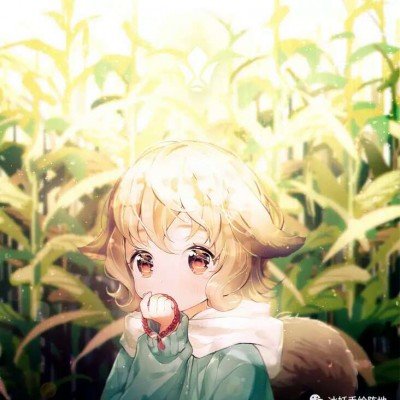 白鹿已成立独资工作室